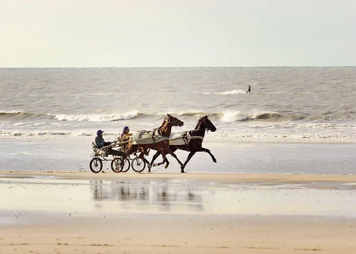 宜必思多维尔中心酒店 3*
